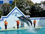 しながわ水族館に投稿された画像（2025/4/5）
