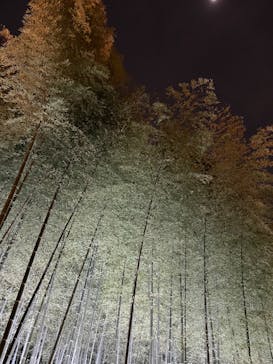 名古屋市東山動植物園に投稿された画像（2025/4/5）