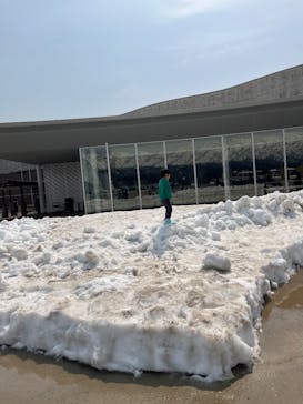 福井県立恐竜博物館に投稿された画像（2025/4/5）