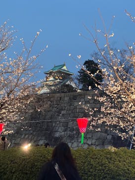 大阪城公園 西の丸庭園に投稿された画像（2025/4/5）