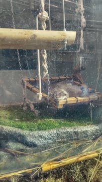 サンシャイン水族館に投稿された画像（2025/4/5）