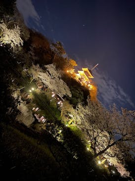 三溪園に投稿された画像（2025/4/5）