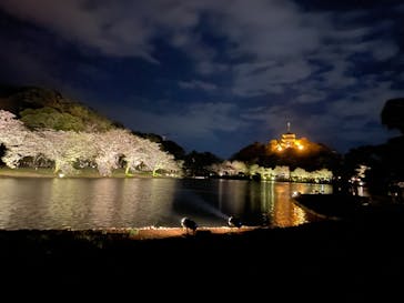 三溪園に投稿された画像（2025/4/5）