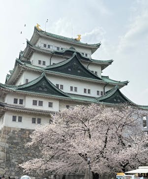 名古屋城に投稿された画像（2025/4/5）