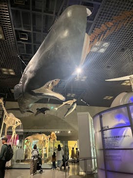 国立科学博物館に投稿された画像（2025/4/5）