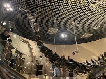 国立科学博物館に投稿された画像（2025/4/5）