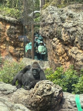 恩賜上野動物園に投稿された画像（2025/4/5）