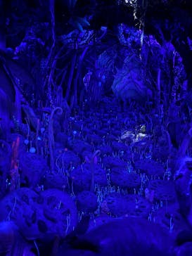 金曜ロードショーとジブリ展　三重展に投稿された画像（2025/4/5）