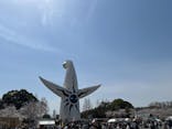 万博記念公園に投稿された画像（2025/4/5）