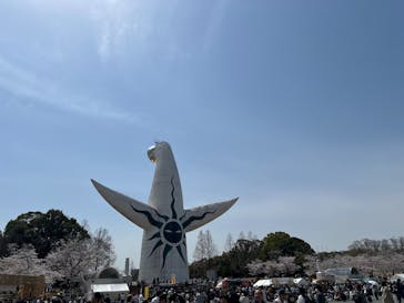 万博記念公園に投稿された画像（2025/4/5）