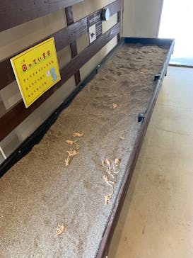 滋賀農業公園ブルーメの丘に投稿された画像（2025/4/5）