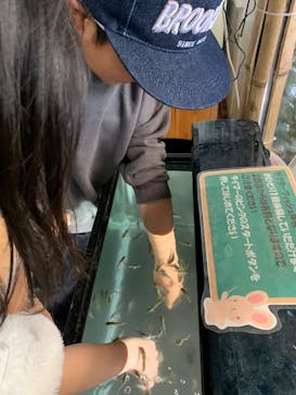 滋賀農業公園ブルーメの丘に投稿された画像（2025/4/5）