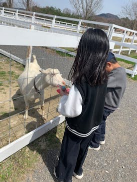 滋賀農業公園ブルーメの丘に投稿された画像（2025/4/5）