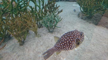 鴨川シーワールドに投稿された画像（2025/4/5）