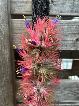 名古屋市東山動植物園に投稿された画像（2025/4/5）