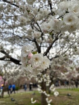 名古屋市東山動植物園に投稿された画像（2025/4/5）