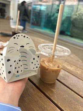 京都水族館に投稿された画像（2025/4/5）