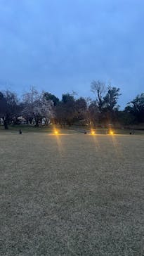 NAKED meets 二条城 2025 観月に投稿された画像（2025/4/5）