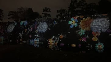 NAKED meets 二条城 2025 観月に投稿された画像（2025/4/5）