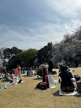 新宿御苑に投稿された画像（2025/4/5）