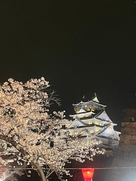 大阪城公園 西の丸庭園に投稿された画像（2025/4/5）