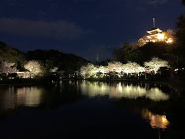 三溪園に投稿された画像（2025/4/5）