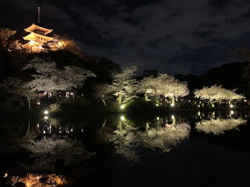 三溪園に投稿された画像（2025/4/5）