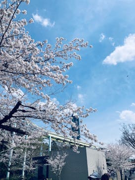 名古屋市東山動植物園に投稿された画像（2025/4/5）