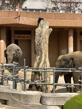 名古屋市東山動植物園に投稿された画像（2025/4/5）