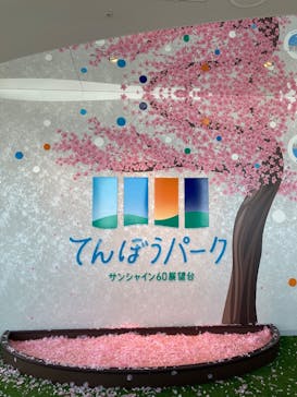 サンシャイン60展望台に投稿された画像（2025/4/5）