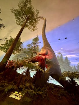 福井県立恐竜博物館に投稿された画像（2025/4/5）