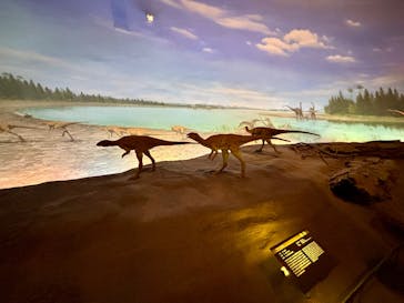 福井県立恐竜博物館に投稿された画像（2025/4/5）