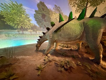 福井県立恐竜博物館に投稿された画像（2025/4/5）