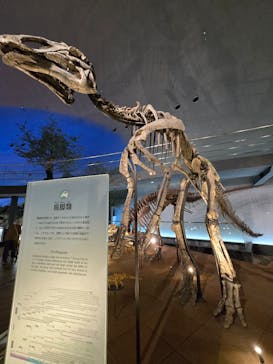 福井県立恐竜博物館に投稿された画像（2025/4/5）