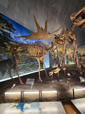 福井県立恐竜博物館に投稿された画像（2025/4/5）