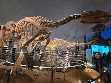 福井県立恐竜博物館に投稿された画像（2025/4/5）