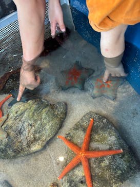 大分マリーンパレス水族館 「うみたまご」に投稿された画像（2025/4/5）