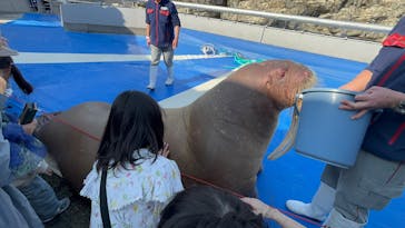 大分マリーンパレス水族館 「うみたまご」に投稿された画像（2025/4/5）