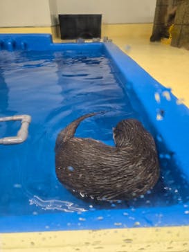 越前松島水族館に投稿された画像（2025/4/5）