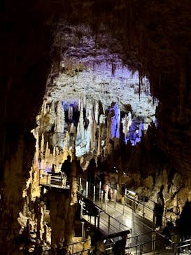 おきなわワールドに投稿された画像（2025/4/5）