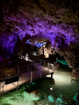 おきなわワールドに投稿された画像（2025/4/5）