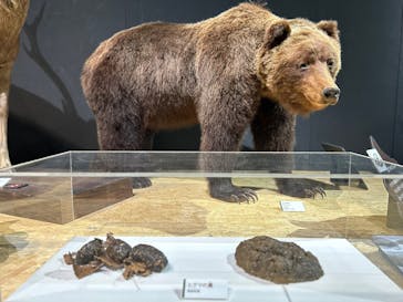  うんち展　-No UNCHI, No LIFE-に投稿された画像（2025/4/5）