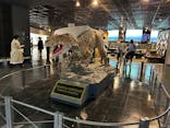 福井県立恐竜博物館に投稿された画像（2025/4/6）