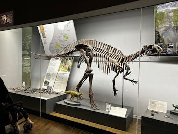 福井県立恐竜博物館に投稿された画像（2025/4/5）