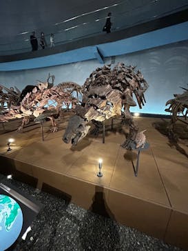 福井県立恐竜博物館に投稿された画像（2025/4/5）