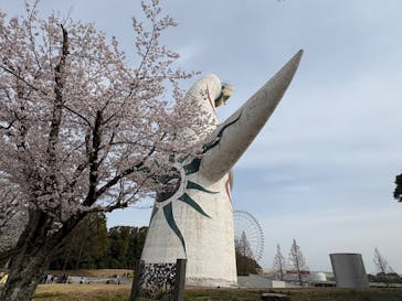 万博記念公園に投稿された画像（2025/4/5）