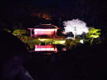 NAKED meets 二条城 2025 観月に投稿された画像（2025/4/5）