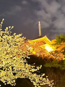 三溪園に投稿された画像（2025/4/5）