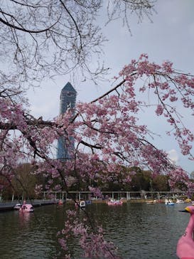名古屋市東山動植物園に投稿された画像（2025/4/5）