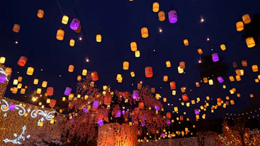 ひらかたパークに投稿された画像（2025/4/5）